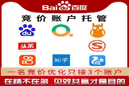 成功案例：网站sem托管如何影响销售数据